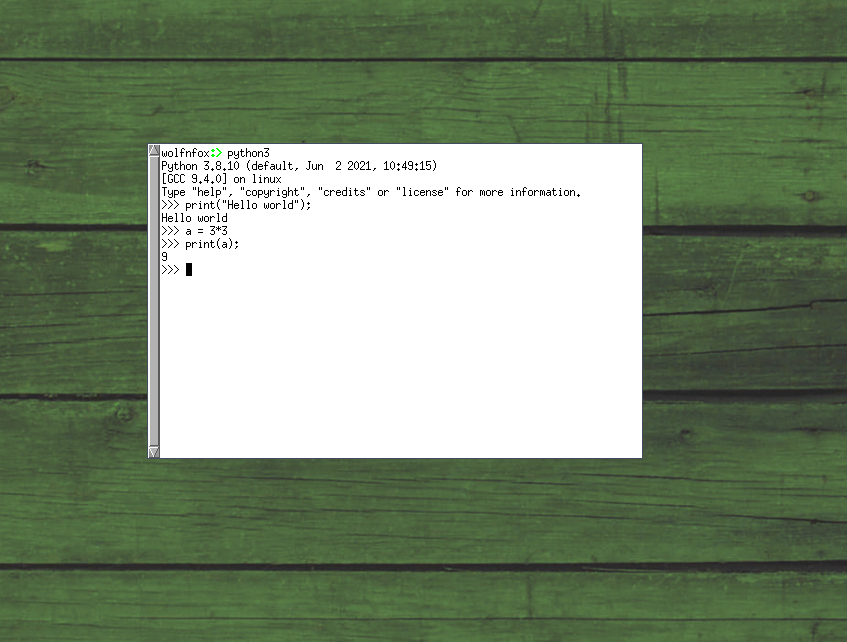 Interactive Python